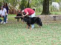 img 049